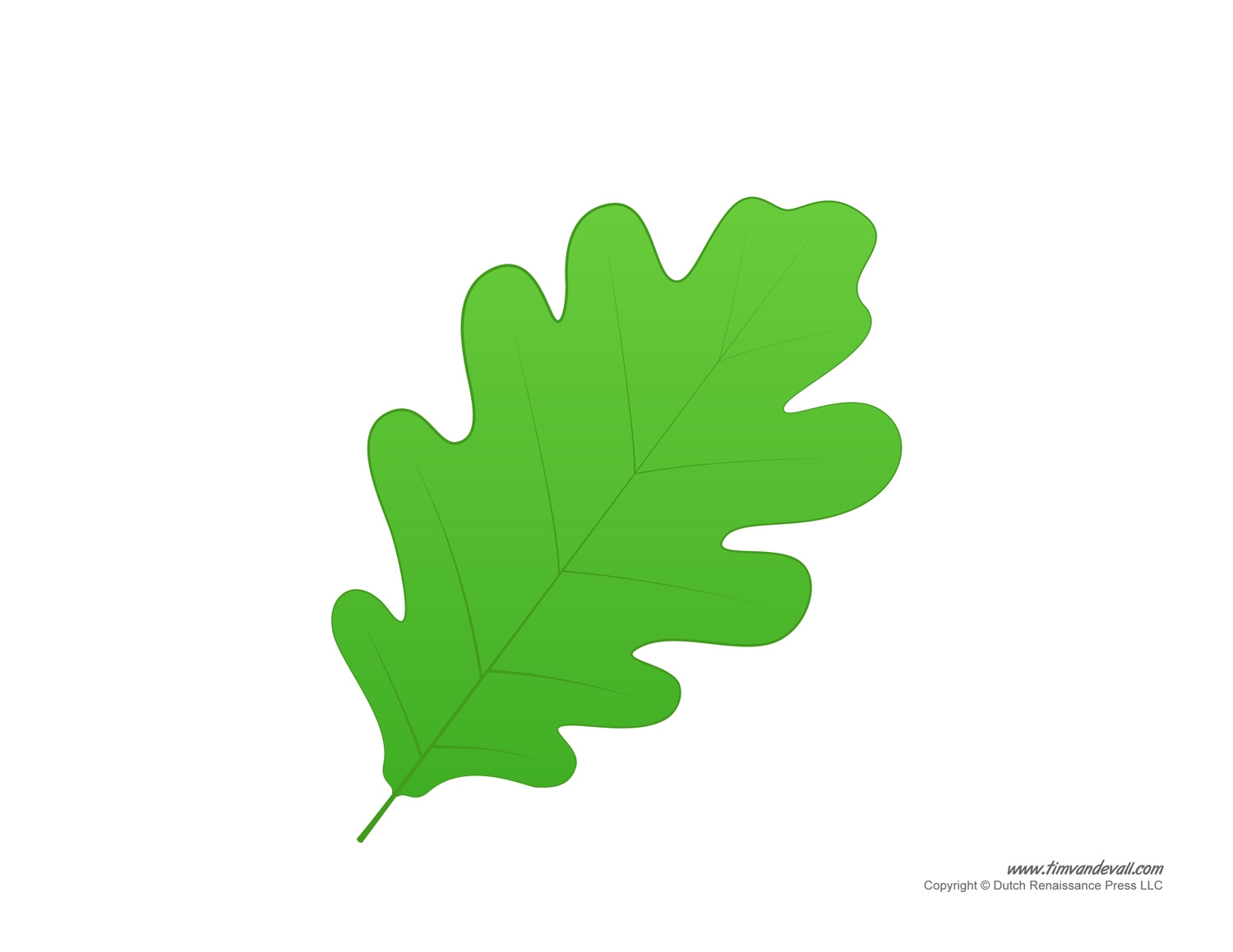 Leaf Templates Leaf Coloring Pages For Kids Leaf Printables