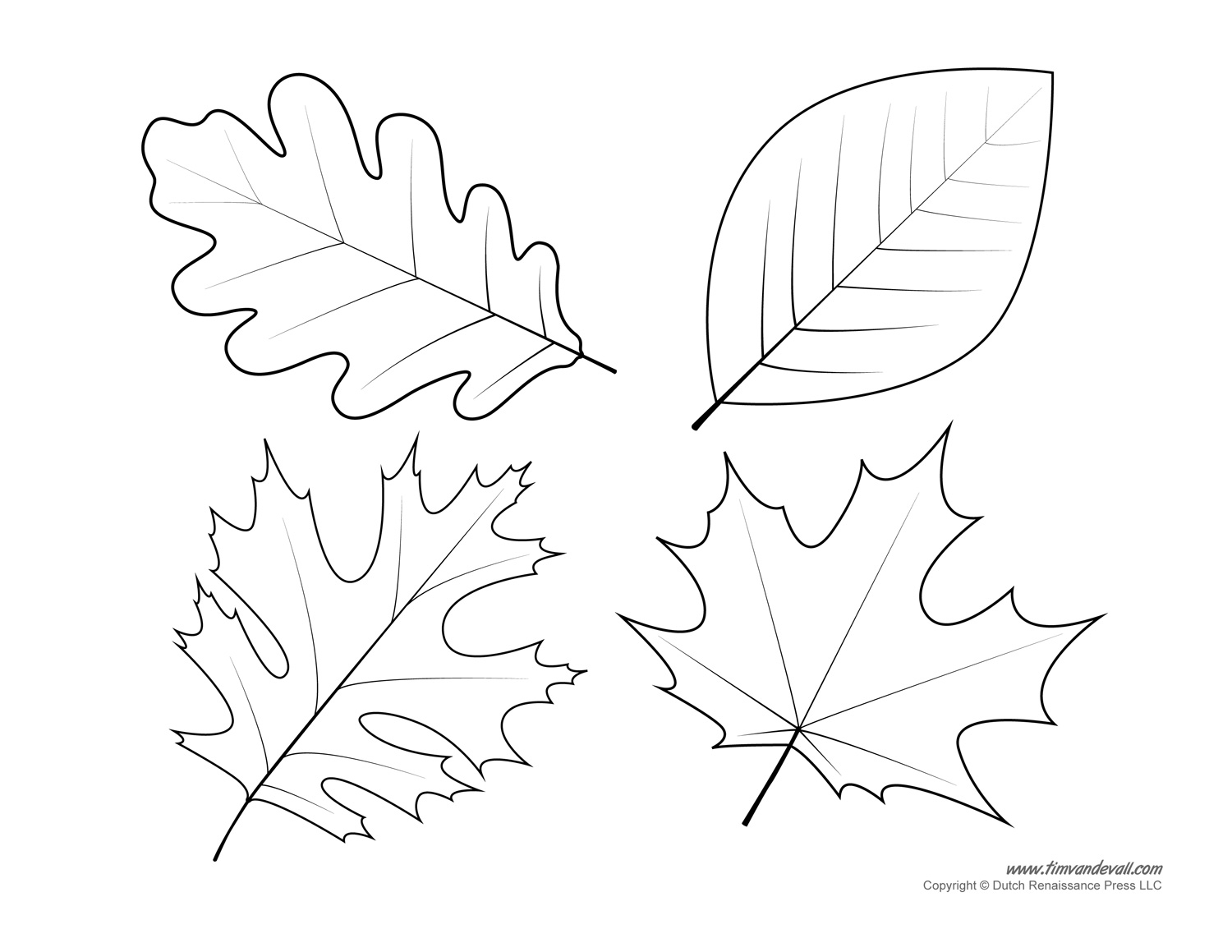 Leaf Templates Leaf Coloring Pages For Kids Leaf Printables