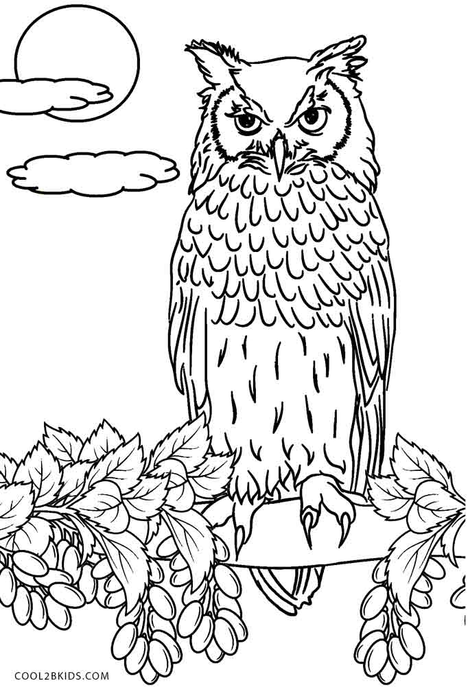 Printable Adult Coloring Pages Owls Coloring Pages