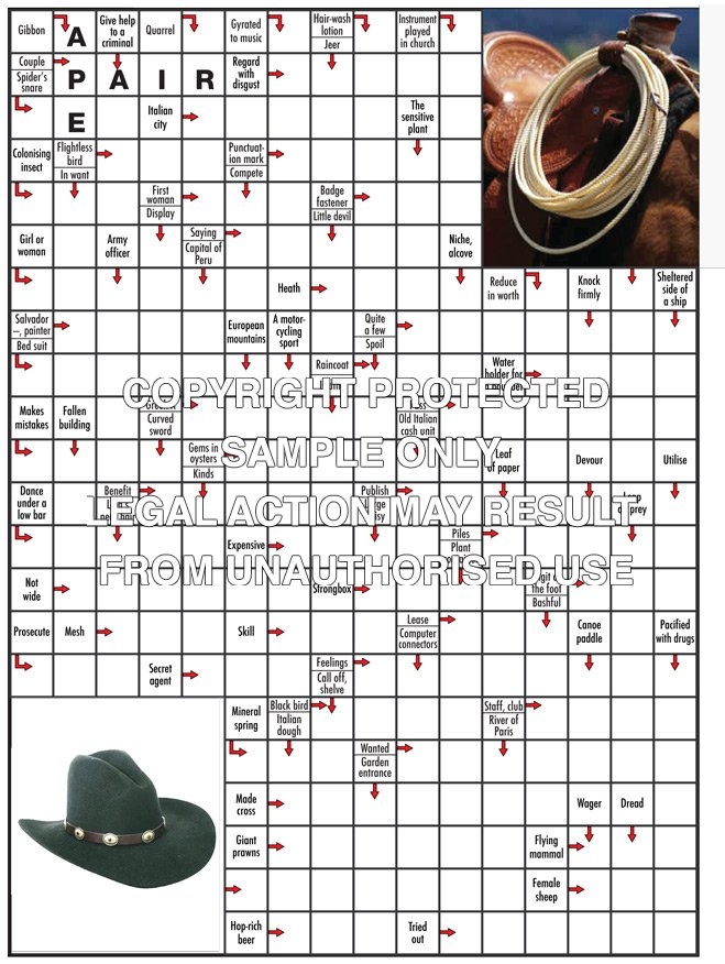 Printable Arrow Word Puzzles Sally Crossword Puzzles