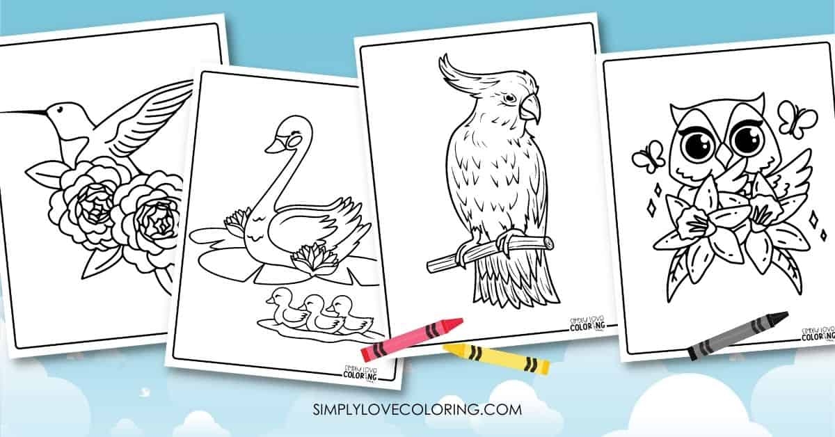 Printable Coloring Pages Birds And Flowers Infoupdate