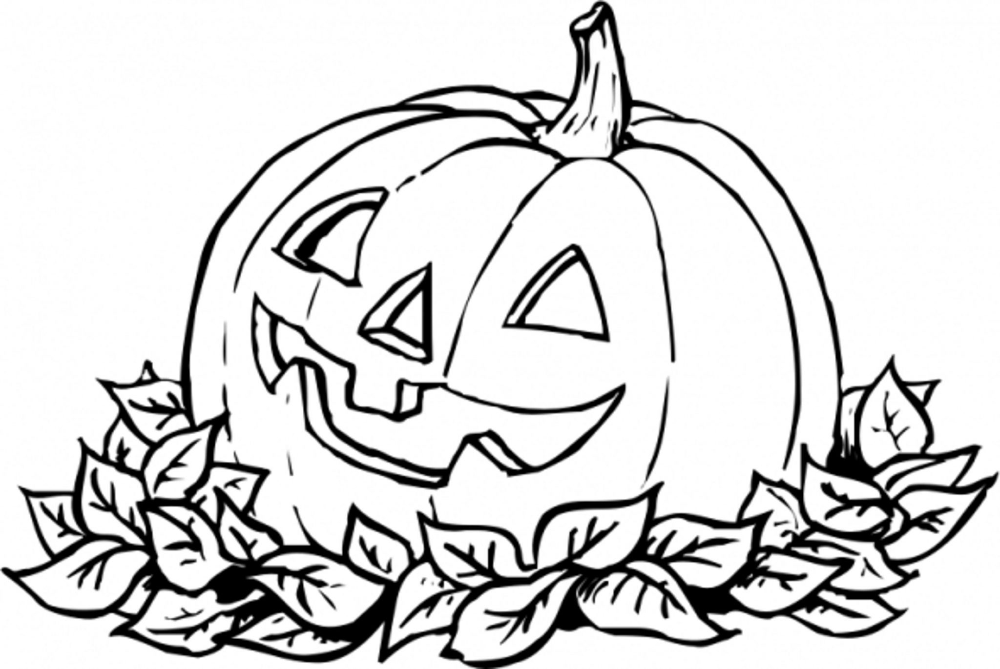 Printable Coloring Pages Pumpkins Printable World Holiday