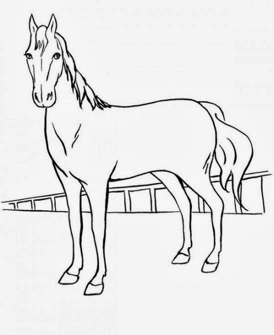 Printable Coloring Pages