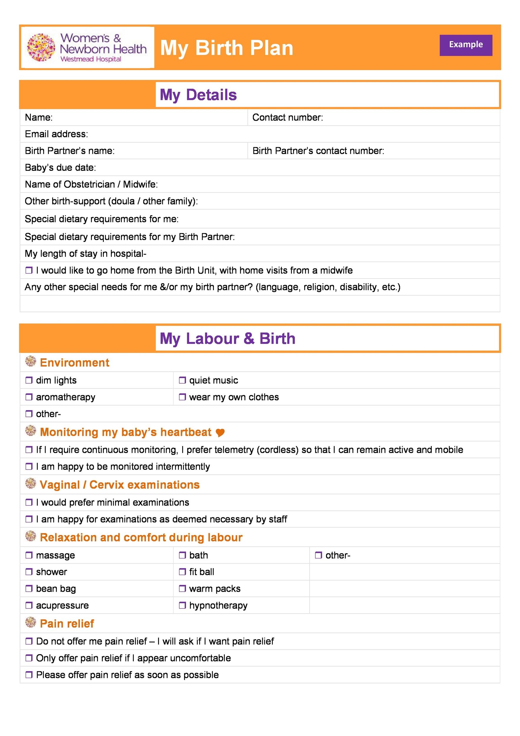 Printable Editable Birth Plan Template Printable Templates