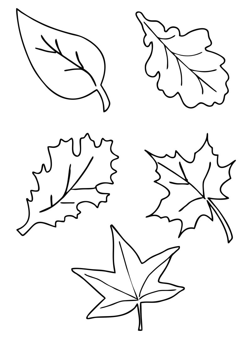 Printable Fall Leaf Templates Printable Calendars AT A GLANCE