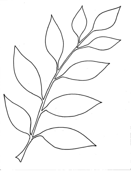 Printable Free Paper Leaf Template Get What You Need For Free