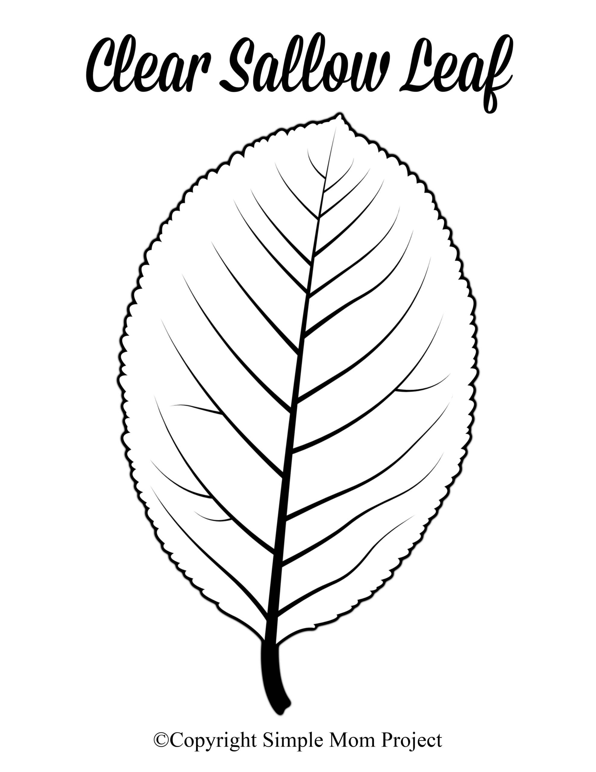 Printable Large Leaf Template Content Calendar Template