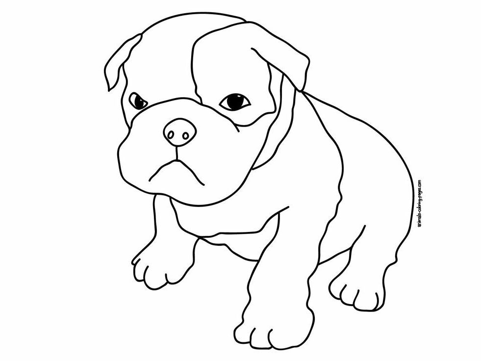 Pug Coloring Pages Printable Coloring Home