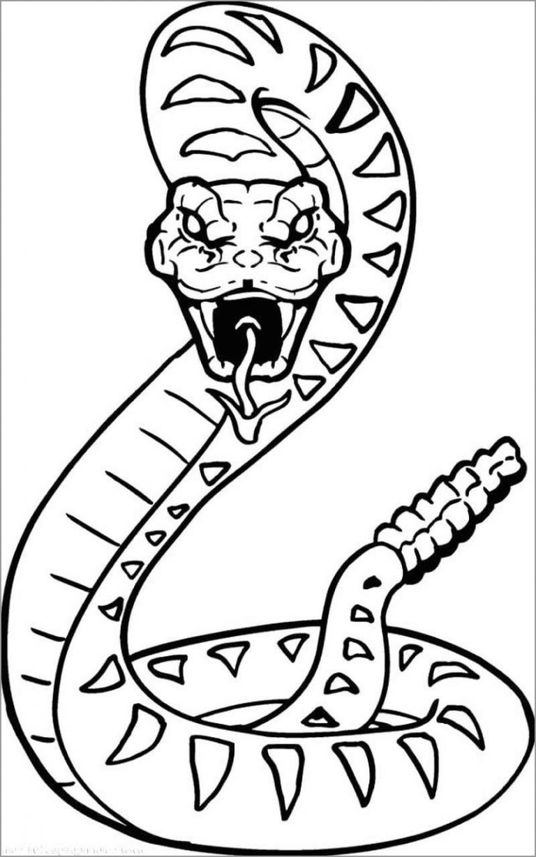 Queen Snake Coloring Page ColoringBay