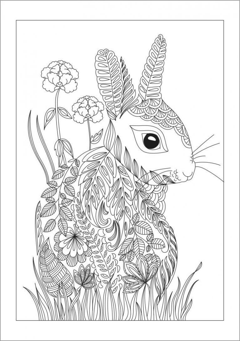 Rabbit Coloring Pages ColoringBay
