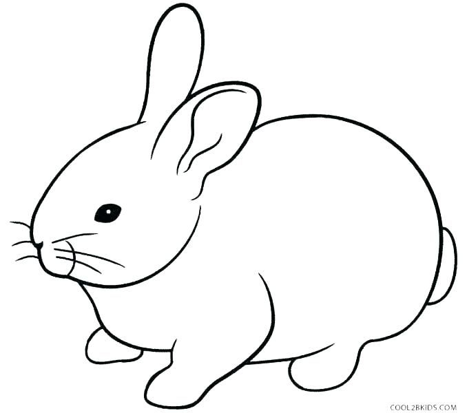 Rabbits Coloring Pages Coloring Pages
