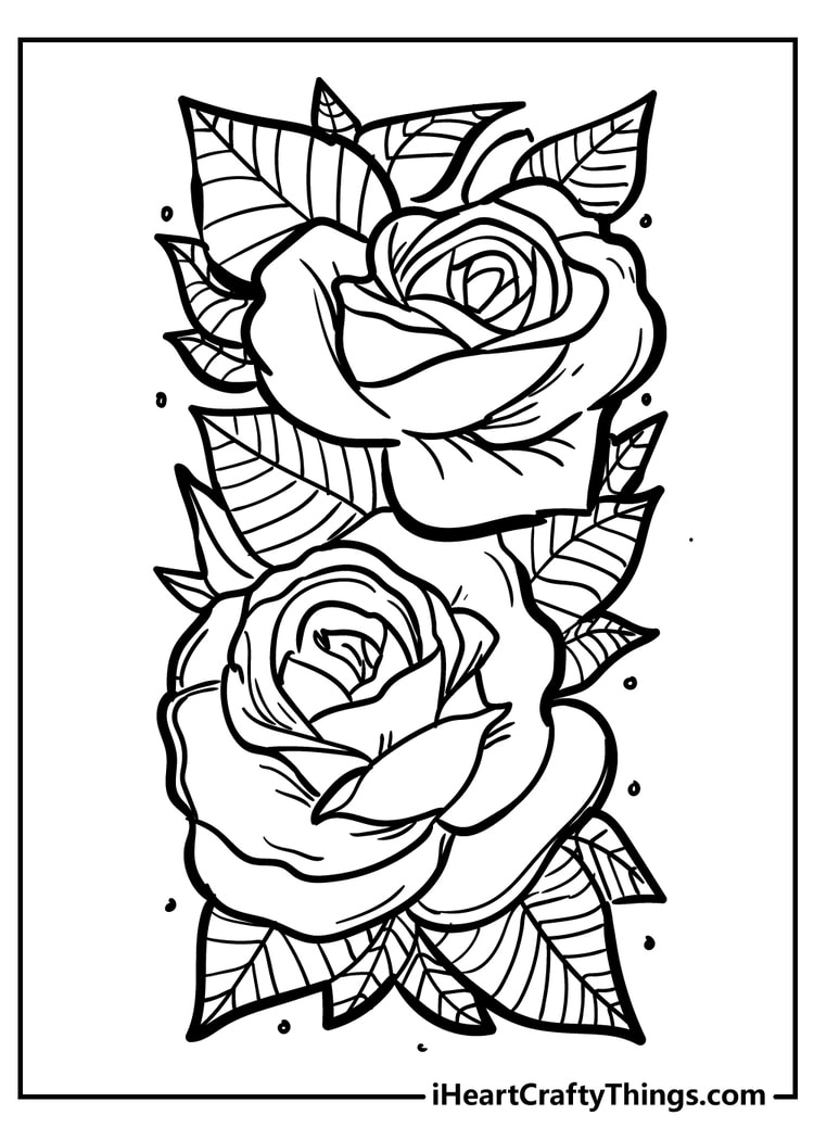 Rose Flower Printable Coloring Pages Best Flower Site