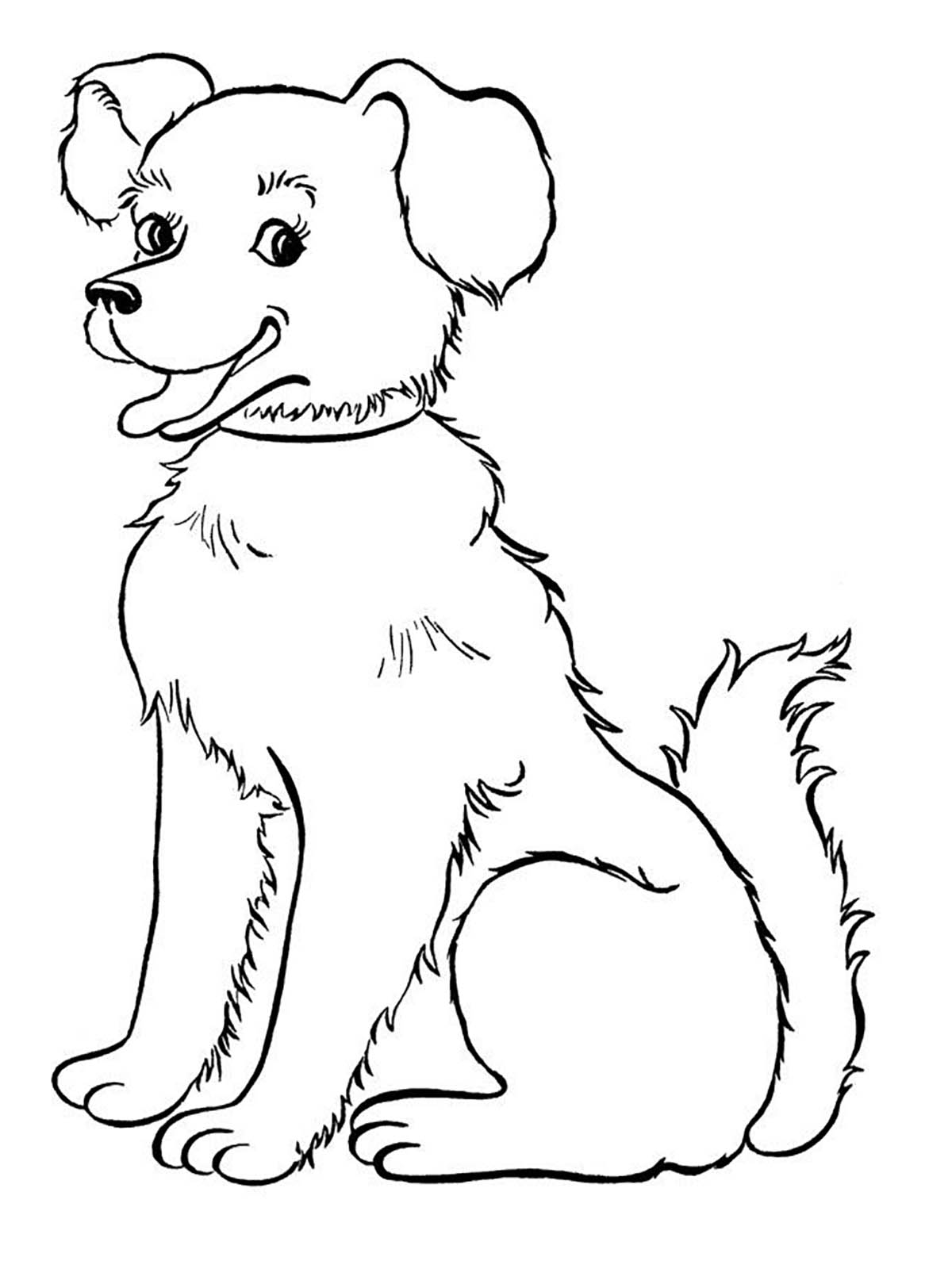 Sitting Dog Dog Coloring Pages