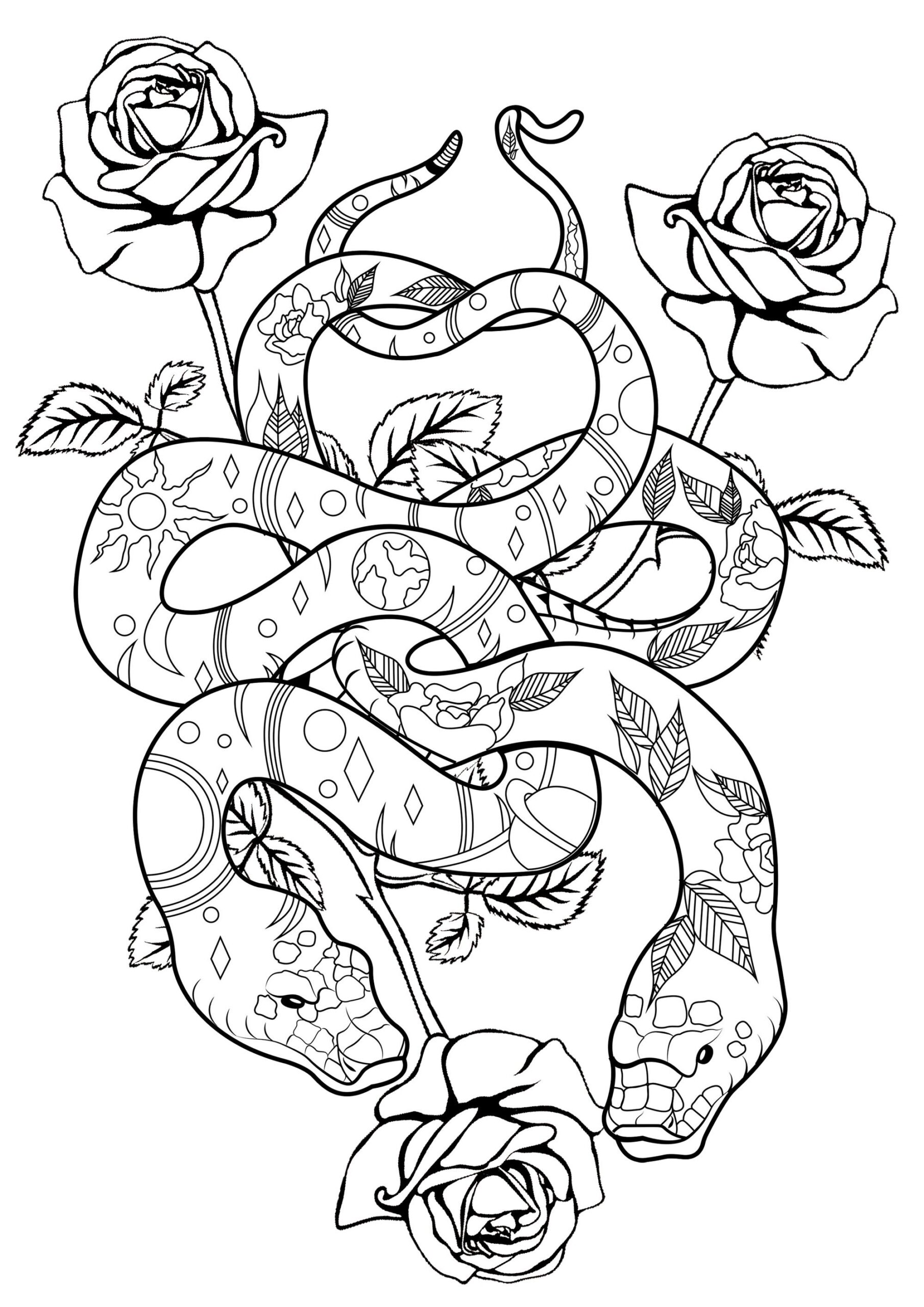 Snakes Roses Snake Coloring Pages For Adults