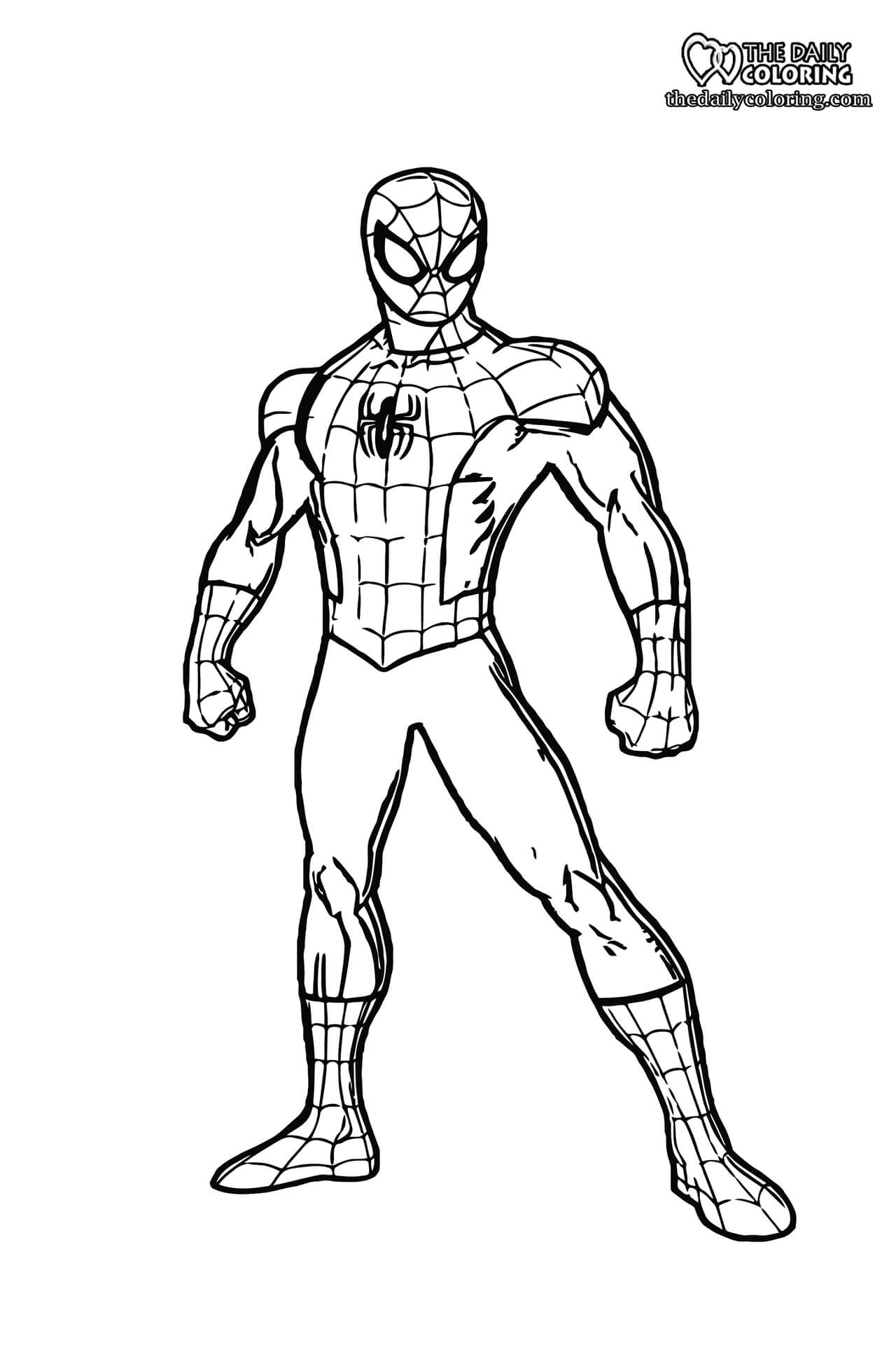 Spiderman Coloring Pages 7 FULL HD The Daily Coloring