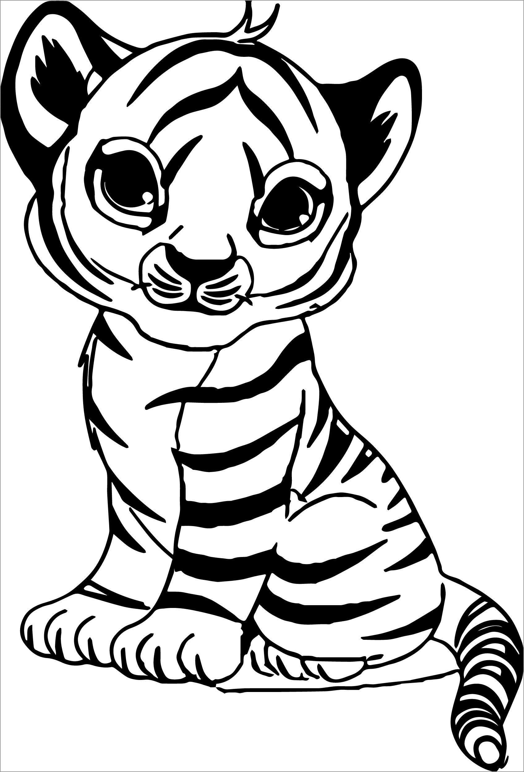 Tiger Coloring Pages ColoringBay