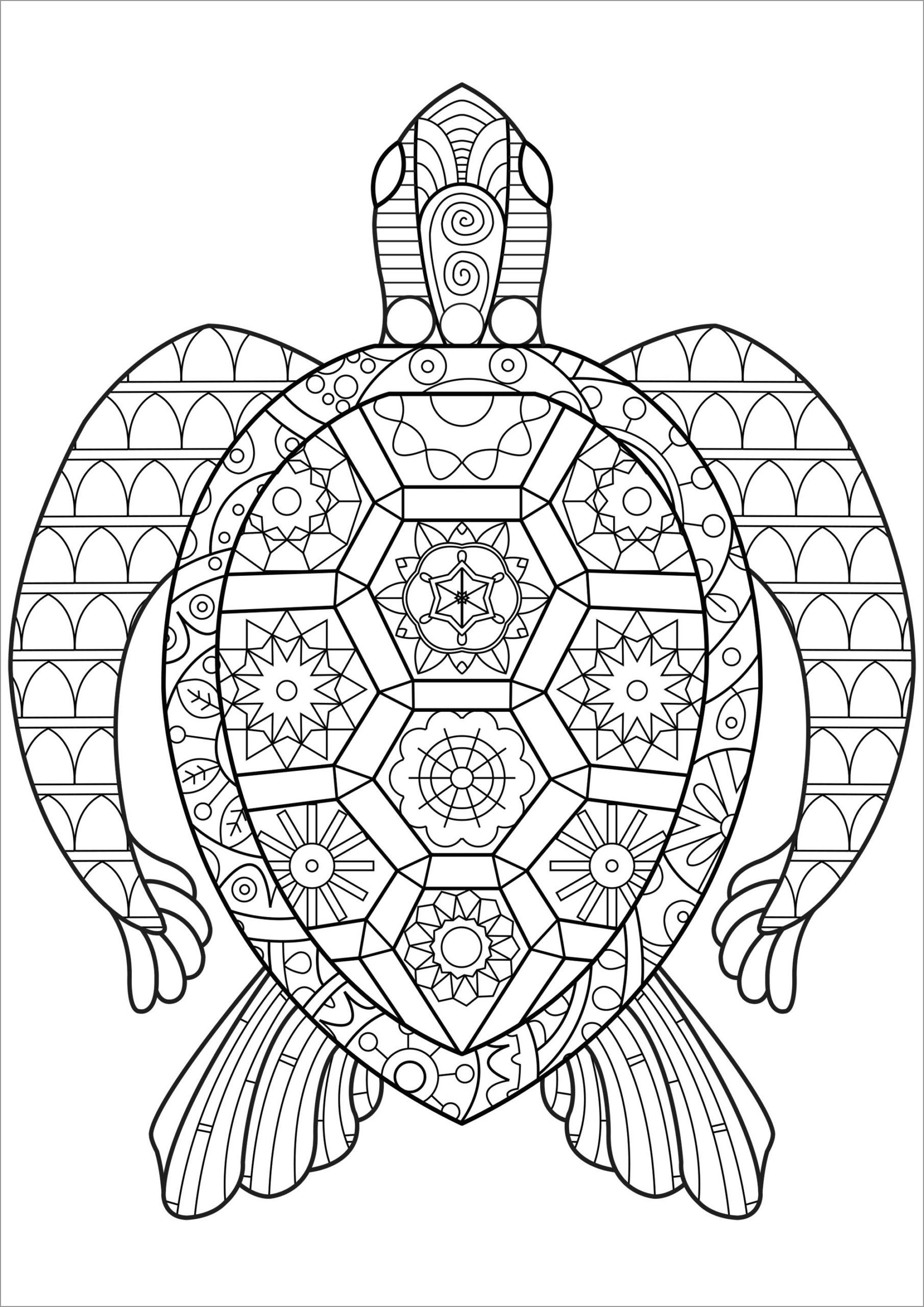 Turtle Coloring Page For Adult ColoringBay