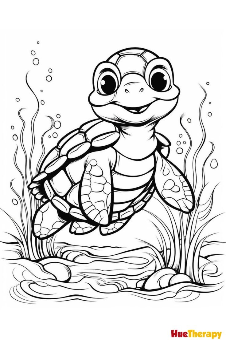 Turtle Coloring Pages Free Printable Farm1 fieldagent