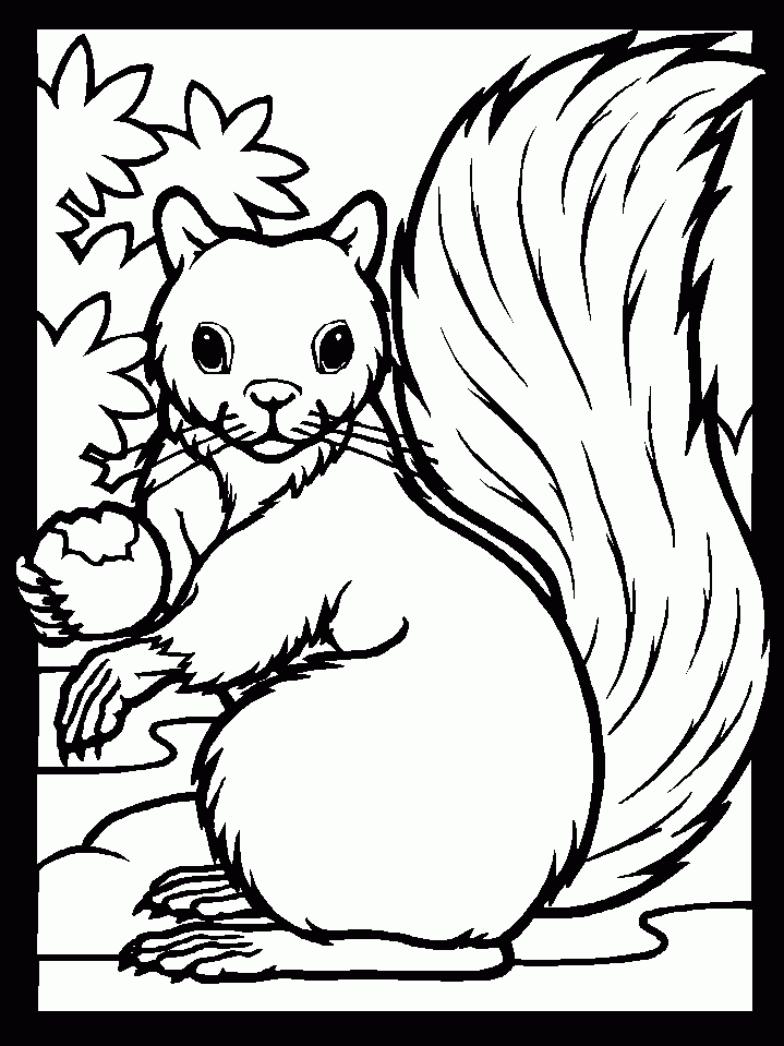 Wildlife Coloring Pages Coloring Home