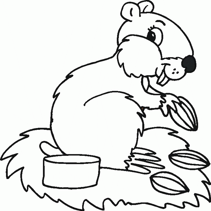 Wildlife Coloring Pages Coloring Home
