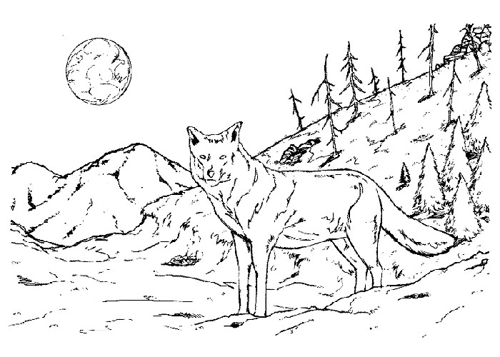 Wolves Coloring Pages Coloring Pages